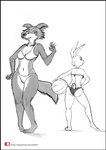 anthro beastars bikini black_border border canid canine canis clothing domestic_rabbit duo dwarf_rabbit female fur haru_(beastars) juno_(beastars) lagomorph leporid link6432 mammal midriff navel netherland_dwarf_rabbit oryctolagus rabbit scut_tail short_tail sketch swimwear tail two-piece_swimsuit wolf