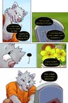 2:3 bandage bastriw black_speech_bubble canid canine canis cemetery clothing comic dialogue digital_media_(artwork) flower fur green_eyes grey_body grey_fur hi_res male mammal nico_(bastriw) orange_clothing orange_shirt orange_topwear plant shirt speech_bubble text tombstone topwear wolf yellow_text