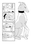 2023 ambiguous_gender canid canine canis collar comic dialogue digital_media_(artwork) domestic_dog feral hi_res hunting_dog japanese_text ludek_(tsukune_minaga) lying male_(lore) mammal monochrome on_front quadruped right_to_left sighthound solo speech_bubble text translation_check translation_request tsukune_minaga whippet