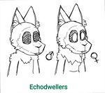 anthro arm_tuft black_sclera darli_buni duo echodweller_(darli_buni) empty_eyes female female_symbol fluffy_ears gender_symbol hi_res looking_away male male_symbol model_sheet neck_tuft neutral_expression pouch_(anatomy) pupils shoulder_tuft sketch species_sheet symbol text tuft white_pupils