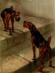 Rating: s
ID: 5552223
Date: 2025-05-06 02:02:01 -0400
Status: active
Score: 1
1910 20th_century ancient_art black_body black_fur black_nose brown_body brown_fur butt canid canine canis collar digitigrade domestic_dog duo fur hunting_dog mammal maud_earl open_mouth raised_tail red_collar shaded shadow signature snout soft_shading stairs standing tail terrier traditional_media_(artwork) welsh_terrier post #5552223