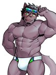 3:4 abs anthro armpit_hair biceps body_hair bulge clothing domestic_cat eyewear eyewear_on_head facial_hair felid feline felis green_eyes hi_res lifewonders live_a_hero male mammal muscular muscular_anthro muscular_male navel nipples pecs solo speedo sunglasses sunglasses_on_head swimwear tsuneaki white_clothing white_speedo white_swimwear wolfmanwilk