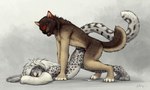 2017 5:3 ambiguous_gender ambiguous_penetrated ambiguous_penetration anchee anthro anthro_on_anthro anthro_penetrated anthro_penetrating anthro_penetrating_anthro ass_up bodily_fluids brown_body brown_fur butt canid canine canis claws cum cum_inside digital_drawing_(artwork) digital_media_(artwork) doggystyle duo erection eyes_closed fangs felid female_(lore) fluffy fluffy_tail from_behind_position fur genital_fluids genitals grey_body grey_fur hair looking_pleasured lying male male/ambiguous male_penetrating male_penetrating_ambiguous mammal natasha_(phyerphox) nude on_front open_mouth pantherine paws penetration penis pillow raised_tail sex signature snow_leopard tail teeth tongue whiskers wolf