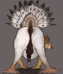 Rating: e
ID: 5598109
Date: 2025-05-25 18:26:32 -0400
Status: active
Score: 88
anus avian balls beak big_anus brown_anus brown_balls brown_body brown_fur butt erection european_mythology feral fur genitals greek_mythology green_eyes hi_res hippogriff male mythological_avian mythological_creature mythology penis perineum presenting presenting_anus puffy_anus raised_tail solo tail teavern white_body white_fur post #5598109