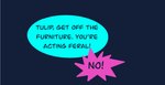 Rating: s
ID: 5582504
Date: 2025-05-18 22:14:13 -0400
Status: active
Score: 5
argument comic comic_panel dialogue english_text not_furry offscreen_character restricted_palette simple_background speech_bubble text vanilla_candy yelling zero_pictured post #5582504