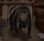 Rating: s
ID: 5640394
Date: 2025-06-13 21:01:38 -0400
Status: pending
Score: 8
absurd_res after_transformation all_fours an_american_werewolf_in_london anthro bodily_fluids book canid canine canine_ears canine_nose carpet carpet_floor claws clothing discarded_clothing discarded_pants discarded_shirt female fireplace fur fur_growth furniture grey_body grey_fur growth hair hair_growth hi_res liminalbean living_room mammal mythological_canine mythological_creature mythology nude sharp_teeth snout sofa solo species_transformation sweat table teeth transformation werecanid werecanine werecreature werewolf yellow_eyes post #5640394
