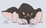 anthro black_body black_fur canid canine claws favonius fur male mammal mythological_canine mythological_creature mythology paws pleading_eyes solo tail were werecanid werecanine werewolf zephyxus