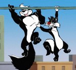 Rating: q
ID: 5551797
Date: 2025-05-05 22:12:04 -0400
Status: active
Score: 15
2019 anthro black_body black_fur black_nose cheek_tuft day domestic_cat duo eyes_closed facial_tuft featureless_chest felid feline felis fluffy fluffy_tail fur fur_tuft hair hanging_by_arms head_tuft kctk laugh looking_at_another looney_tunes male male/male mammal mephitid multicolored_body multicolored_fur muscular muscular_anthro muscular_male narrowed_eyes nude_anthro nude_male open_mouth open_smile pink_tongue pitu_le_pew red_nose skunk sky smile striped_skunk submissive submissive_anthro submissive_male sylvester_(looney_tunes) tail teeth tickle_fetish tickling tongue tuft tuxedo_cat two_tone_body two_tone_fur warner_brothers whiskers white_body white_fur post #5551797