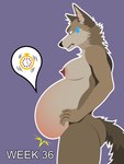 3:4 anthro areola belly big_belly big_nipples billybobjoey birth bodily_fluids breasts butt canid canine canis coyote erect_nipples female flat_shading fur green_eyes hi_res mal male_(lore) mammal neck_tuft nipples nude outline pregnant pregnant_anthro pregnant_female side_view simple_background solo speech_bubble sweat sweatdrop tail text thought_bubble tuft vector worried worried_face worried_look