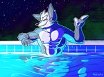 anthro canid canine canis digital_media_(artwork) fizzyjay fur grey_body grey_fur hi_res looking_at_viewer male mammal muscular muscular_male nintendo nipples pool smile solo star_fox swimming_pool water wolf wolf_o'donnell