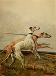 Rating: s
ID: 5552214
Date: 2025-05-06 01:54:13 -0400
Status: active
Score: 3
1910 20th_century ambiguous_gender ancient_art black_nose brown_body brown_fur canid canine canis collar day domestic_dog duo feet feral floppy_ears full-length_portrait fur grass greyhound hunting_dog leash leash_pull leashed_collar mammal maud_earl multicolored_body multicolored_fur open_mouth outside plant portrait running shaded side_view sighthound signature snout soft_shading tail tan_body tan_fur toes tongue tongue_out traditional_media_(artwork) white_body white_fur post #5552214