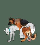 all_fours anal anal_penetration animated anthro anthro_on_feral anthro_penetrated balls bestiality brown_body brown_fur canid canine canis captain_(folfad) collar digital_media_(artwork) digitigrade doggystyle domestic_dog duo eyes_closed feral feral_penetrating feral_penetrating_anthro feral_penetrating_male from_behind_position fur genitals german grey_body grey_fur herding_dog jeffusherb looking_pleasured male male/male male_on_feral male_penetrated male_penetrating male_penetrating_anthro male_penetrating_male mammal mating_grip mounting nude open_mouth pastoral_dog pawpads penetration penile penile_penetration penis_in_ass pink_pawpads pixel_(artwork) pixel_animation quadruped sex sheepdog side_view simple_background thrusting tongue