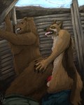 4:5 absurd_res anal anal_penetration anatomically_correct anatomically_correct_genitalia anatomically_correct_penis animal_genitalia anthro anthro_on_anthro anthro_penetrated anthro_penetrating anthro_penetrating_anthro bear bottomwear bottomwear_down canid canine canis clothed clothing domestic_dog duo english_text erection genitals german_shepherd herding_dog hi_res kinktober knot male male/male male_penetrated male_penetrating male_penetrating_male mammal pants pants_down partially_clothed pastoral_dog penetration penile penile_penetration penis penis_in_ass sex sheath slightly_chubby slightly_chubby_male snow text tongue trench uniform wall_(structure) war winter wood wood_wall yenocwolf