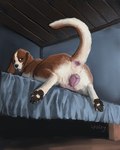 Rating: e
ID: 5187776
Date: 2024-11-17 11:30:35 -0500
Status: active
Score: 186
4:5 4_toes anatomically_correct anatomically_correct_anus anatomically_correct_genitalia anatomically_correct_pussy animal_genitalia animal_pussy anus artist_name basset_hound bed bed_sheet bedding bedroom bedroom_eyes big_pussy black_nose black_pawpads brown_body brown_ears brown_eyes brown_fur butt canid canine canine_genitalia canine_pussy canis claws colored detailed_background digital_drawing_(artwork) digital_media_(artwork) digital_painting_(artwork) digitigrade domestic_dog english_text eyebrows feet female feral fur furniture genitals half-closed_eyes hi_res hindpaw hunting_dog inside inviting long_ears looking_at_viewer looking_back looking_back_at_viewer low-angle_view lying lying_on_bed mammal monotone_anus monotone_genitals multicolored_body multicolored_fur narrowed_eyes on_bed on_front painting_(artwork) pawpads paws pink_anus pink_pawpads pink_pussy plump_labia presenting presenting_anus presenting_hindquarters presenting_pussy pussy quadruped raised_tail realistic_feral rear_view scent_hound seductive shaded signature solo sploot spread_legs spreading tail tail_anus tail_aside text toe_claws toes two_tone_body two_tone_fur werewolfdegenerate white_body white_fur post #5187776