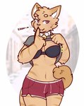 anthro april_horne_(nicopossum) bell bell_collar biped bottomwear bra clothing collar domestic_cat felid feline felis female flashing front_view fur heart_symbol hi_res mammal nicopossum orange_body orange_fur pink_eyes shorts solo underwear