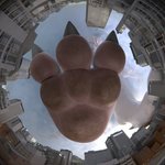 post #2598938