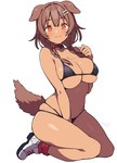 :3 accessory animal_humanoid batta18th big_breasts blush blush_lines bone bra braided_hair breasts brown_hair canid canid_humanoid canine canine_humanoid cat_smile clothing collar dark_body dark_skin dog_humanoid female footwear hair hair_accessory hi_res hololive humanoid inugami_korone kneeling looking_at_viewer mammal mammal_humanoid navel orange_eyes panties shoes short_hair side_view signature simple_background smile solo tail tanned_skin text thick_thighs underwear vtuber