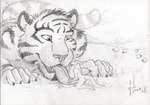 anthro bovid caprine duo felid forest heart_symbol hufnaar kangaroo kissing licking looking_at_another looking_at_partner macro macropod male male/male mammal marsupial micro pantherine plant role_reversal sheep size_difference sketch solaxe_(artist) tail tiger tongue tongue_out tree