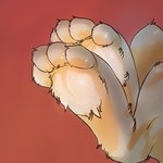 1:1 ambiguous_gender feet foot_focus foot_shot fur glistening glistening_body grey_body grey_fur hindpaw lagomorph leporid mammal paws pawsitively rabbit raised_paw red_background simple_background solo tufted_fur