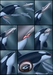 ambiguous_feral ambiguous_gender ambiguous_prey animal_genitalia animal_penis black_border bodily_fluids border bottlenose_dolphin cetacean cetacean_genitalia cetacean_penis comic commerson's_dolphin dolorcin dolphin edisian erection feral feral_pred feral_prey fully_inside genital_fluids genitals group hi_res inside_stomach internal larger_pred licking male male/male male_feral male_pred male_prey mammal marine multiple_prey neck_bulge oceanic_dolphin oral oral_vore orca partially_inside penile penis penis_lick precum sex smaller_prey soft_vore stuffing swallowing tapering_penis tongue tongue_out toothed_whale underwater vore water