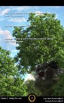 3d_(artwork) absurd_res blue_sky cloud digital_media_(artwork) hi_res keycaliber1 laurel_wreath light number plant sky sunlight text tree tree_house white_text zero_pictured