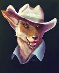 2023 absurd_res alytarch anthro black_nose blue_clothing blue_shirt blue_topwear brown_body brown_fur canid canine canis clothed clothing coyote digital_media_(artwork) digital_painting_(artwork) female fur hat headgear headwear hi_res inner_ear_fluff light mammal mattie_cairns multicolored_body multicolored_fur my_petrochemical_romance orange_body orange_eyes orange_fur portrait shirt signature solo story story_in_description sunlight topwear tuft white_body white_fur