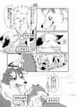 akafude_(tsukune_minaga) all_fours annoyed blush bodily_fluids canid canine canis comic dialogue domestic_dog eye_contact fangs female_(lore) feral fox fur greyscale group hi_res japanese_text looking_at_another looking_down lying male_(lore) mammal monochrome on_back on_top paws pinned rokushou_(tsukune_minaga) shiranui_(tsukune_minaga) simple_background smile sweat tategami_(tsukune_minaga) teeth text translation_check translation_request tsukune_minaga wolf