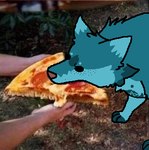 aliasing bellsosu_(fursona) blue_body blue_fur canid canine canis compression_artifacts digital_media_(artwork) duo facial_tuft female feral food fur human mammal markings meme photo_background photo_manipulation photography_(artwork) photomorph pizza sosu-the-blue-wolf tuft white_body white_fur wolf