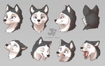 Rating: s
ID: 2853217
Date: 2021-07-29 07:10:26 -0400
Status: active
Score: 212
16:10 2021 ambiguous_gender black_nose blue_eyes canid canine canis countershading digital_media_(artwork) domestic_dog expression_sheet eyes_closed fur grey_body grey_fur hana_(jishinu) husky jishinu looking_at_viewer looking_up mammal multiple_poses nordic_sled_dog open_mouth pose shaded simple_background smile solo spitz teeth tongue tongue_out white_body white_fur widescreen yawn post #2853217