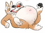 Rating: q
ID: 5590558
Date: 2025-05-22 11:52:25 -0400
Status: active
Score: 15
4:3 anthro arm_support belly belly_blush beverage big_belly bloated blush body_blush canid canine canis domestic_dog fur herding_dog holding_beverage holding_object male mammal nude obese obese_anthro obese_male overweight overweight_anthro overweight_male pastoral_dog raised_leg reclining simple_background solo tan_body tan_fur technocaster teeth tongue tongue_out welsh_corgi white_background post #5590558
