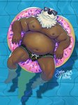 2024 anthro belly big_belly black_nose bulge clothing eyewear hi_res lying male mammal mature_male moobs mustelid navel nipples otter overweight overweight_male rudderbutts senor_nutria solo sunglasses swimwear xavier_(rudderbutts)