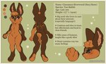 2024 anthro border breasts brown_body brown_ears brown_fur butt cinna_riverwood countershading domestic_rabbit english_text eyewear featureless_crotch female flat_colors fur glasses hi_res lagomorph leporid lynx_scenting mammal model_sheet neck_tuft nonbinary_(lore) nude oryctolagus paws pink_inner_ear pink_nose rabbit scut_tail short_fur short_tail small_breasts solo tail tan_rabbit text tuft yellow_border