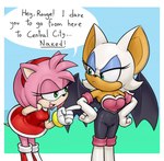 amy_rose anthro bat bat_wings black_wings clothed clothing countershading dress duo english_text eulipotyphlan female fur hair head_tuft hedgehog hi_res mammal mario-grant membrane_(anatomy) membranous_wings pink_body pink_fur pink_hair red_clothing red_dress rouge_the_bat sega sonic_the_hedgehog_(series) speech_bubble tan_body tan_countershading tan_skin text the_simpsons thick_thighs thin_thighs tuft white_body white_fur wide_hips wings