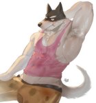 anthro armpit_hair black_body black_fur body_hair bulge canid canine canis clothed clothing digital_media_(artwork) doggo_(undertale) domestic_dog fur hi_res huzzhuz male mammal muscular muscular_anthro muscular_male musk nipple_outline nipple_slip nipples pink_clothing pink_nipples pink_topwear shirt solo tank_top topwear undertale undertale_(series) white_body white_fur