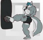 2018 5_toes anthro barefoot biceps body_writing bulge canid canine canis clothed clothing digital_media_(artwork) english_text feet fur male mammal muscular muscular_anthro muscular_male nightterror solo text text_on_body toes topless wolf writing_on_thigh