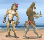 2016 5_fingers 5_toes alcohol ankle_band anthro beach beer beer_bottle beverage black_claws black_nose bottle broad_shoulders brown_body brown_claws brown_eyes brown_fur bulge canid canine canis cellphone cheek_tuft chin_tuft claws clothed clothing container day domestic_dog duo dyed_mane ear_piercing ear_ring ear_stud electronics eyebrow_piercing eyebrow_ring facial_hair facial_piercing facial_tuft feet finger_claws fingers fluffy fluffy_tail fur furgonomic_swimwear furgonomics german_shepherd goatee green_eyes herding_dog highlights_(coloring) holding_beer_bottle holding_cellphone holding_object holding_phone holding_smartphone humanoid_feet hyena leg_markings looking_at_another looking_at_butt looking_at_object looking_at_phone male mammal mane markings muscular muscular_anthro muscular_male musical_note musical_symbol navel nose_piercing nose_ring ogling open_mouth outside pastoral_dog pecs phone piercing pink_body pink_fur plantigrade ring_piercing sampsonwoof sea shaded signature smartphone smile snaggle_tooth socks_(marking) speedo speedo_only spots spotted_hyena standing story story_in_description swimwear symbol tail tan_body tan_fur teeth toe_claws toes tongue topless tuft underbite walking water whiskers wristband