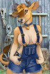 2023 anthro areola areola_slip bovid bovine breasts brown_body brown_eyes brown_fur brown_hair caribou_(artist) cattle clothing collar cowbell female fur hair hay horn jersey_cattle mammal nipples overalls overalls_only photo_background photography_(artwork) pitchfork rope shovel solo tail tan_body tan_fur tools wagon_wheel