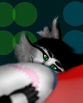 post #5621409