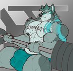 2018 abs abstract_background absurd_res anthro barazoku barbell bicep_curl biceps big_biceps big_bulge big_muscles big_pecs blue_body blue_fur blue_hair bodily_fluids body_writing bulge canid canine canis clothed clothing deltoids english_text exercise fur gradient_background hair hi_res male mammal muscular muscular_anthro muscular_male narrowed_eyes nightterror nipples pecs simple_background sitting solo sweat tattoo text text_on_body thick_thighs underwear underwear_only vein veiny_muscles weightlifting weights wolf workout writing_on_chest