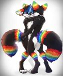 2019 4_toes 5_fingers anthro antony_benjiro biped black_body black_fur black_hair black_nose blue_hair canid canine collar digital_media_(artwork) digitigrade duo eyebrows eyelashes feet femboy fingers fox fur hair hi_res lgbt_pride magenta7 male male/male mammal markings multicolored_markings open_mouth pride_color_markings pride_colors rainbow_pride_colors rainbow_symbol selfcest seven-stripe_rainbow_pride_colors simple_background sparklefur square_crossover standing tail teeth toes tongue