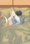 absurd_res bed c.c._triggered domestic_cat dragon duo felid feline felis furniture hi_res howler male male/male mammal mythological_creature mythological_scalie mythology rukit scalie teebee