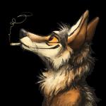 1:1 2016 alpha_channel ambiguous_gender black_body black_eyes black_fur black_nose brown_body brown_fur canid canine canis cigarette coyote digital_media_(artwork) feral fur headshot_portrait icon kenket looking_up mammal multicolored_body multicolored_fur portrait reaction_image side_view simple_background smoking solo sticker tan_sclera transparent_background white_body white_fur yellow_sclera