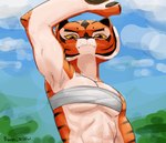 absurd_res anthro armpit_fetish armpit_focus armpit_showing banne breasts chest_wraps dreamworks exposed_armpit felid female hi_res kung_fu_panda mammal master_tigress muscular muscular_female pantherine presenting_armpit solo spread_armpit tiger under_boob wraps