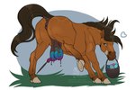 Rating: e
ID: 5551369
Date: 2025-05-05 18:00:28 -0400
Status: active
Score: 13
2025 3:2 animal_genitalia anus artist_name balls basket blue_eyes bodypaint brown_body brown_hair brown_mane brown_tail brush container digital_media_(artwork) dolero easter egg english_text equid equine equine_anus feral genitals hair heart_symbol hi_res holidays hooves horse kukan97 looking_at_viewer male mammal mane paintbrush painted_balls presenting_balls raised_leg raised_tail sheath simple_background solo tail text post #5551369