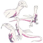 1:1 ambiguous_gender claws collage_(disambiguation) feral forked_tongue generation_7_pokemon hi_res lizard monitor_lizard nintendo pokemon pokemon_(species) realistic reptile salazzle scalie shiny_pokemon simple_background solo stocky tongue tongue_out white_background white_body zoo69712356