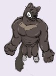 3:4 anthro bared_fangs bared_teeth clothing dickinoatmeal erection footwear footwear_only foreskin fur genitals gulonine hi_res male mammal mostly_nude muscular muscular_male mustelid musteline nipples nude pecs penis simple_background socks socks_only solo tail wolverine