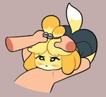 post #5445495