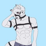 post #4811075