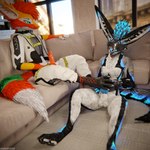 Rating: e
ID: 5611653
Date: 2025-05-31 14:11:09 -0400
Status: active
Score: 35
1:1 3d_(artwork) absurd_res animal_genitalia animal_penis anthro anthro_on_anthro arms_tied ball_gag balls bdsm biped black_body black_boots black_clothing black_footwear black_fur black_shoes blender_(artwork) blender_cycles blue_body blue_fur blue_penis bodily_fluids bondage boot_on_penis bootjob boots bottomwear bound canid canine canine_genitalia canine_penis canis claws clothed clothing cum depth_of_field digital_media_(artwork) dominant dragonplayer dragonplayer_(character) duo erection feet feet_on_penis foot_fetish foot_on_penis foot_play footjob footwear fox fur furniture gag gagged genital_fluids genitals grey_body grey_fur hair hi_res hindpaw inside jex jexouium knot knuffelfratz living_room male male/male mammal multicolored_body nude on_ground on_sofa open_mouth orange_body orange_fur orange_penis orgasm pants paws penis reflection rexouium sex shoes sitting sitting_on_ground sitting_on_sofa slim slim_anthro slim_male slim_sub smile sofa submissive submissive_male tail teeth white_body white_fur yellow_body yellow_fur post #5611653