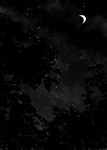 Rating: s
ID: 5282587
Date: 2025-01-02 16:03:03 -0500
Status: active
Score: 3
absurd_res black_and_white bringeall cloud crescent_moon dark dark_theme hi_res low-angle_view monochrome moon night not_furry plant star starscape tree worm's-eye_view zero_pictured post #5282587